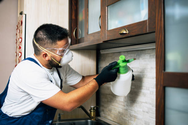 Best Pest Prevention Services  in Pagould, AR