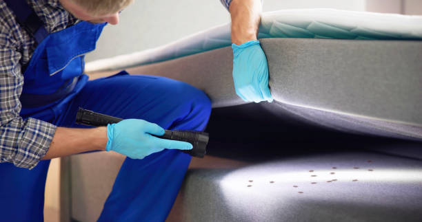 Best Pest Control for Homes  in Pagould, AR