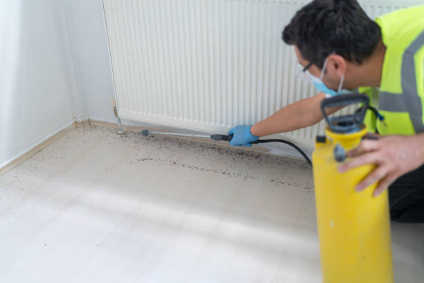 Best Bed Bug Extermination  in Pagould, AR