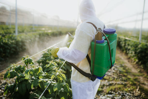Best Pest Control Near Me  in Pagould, AR